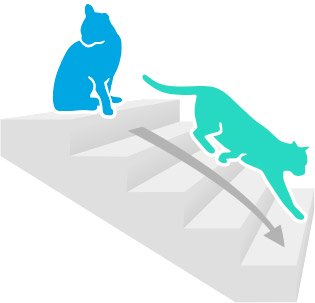 gato baja escaleras