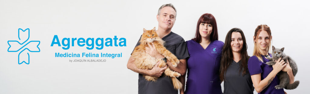 Aggregata Medicina Felina Integral 2 baner aggregata