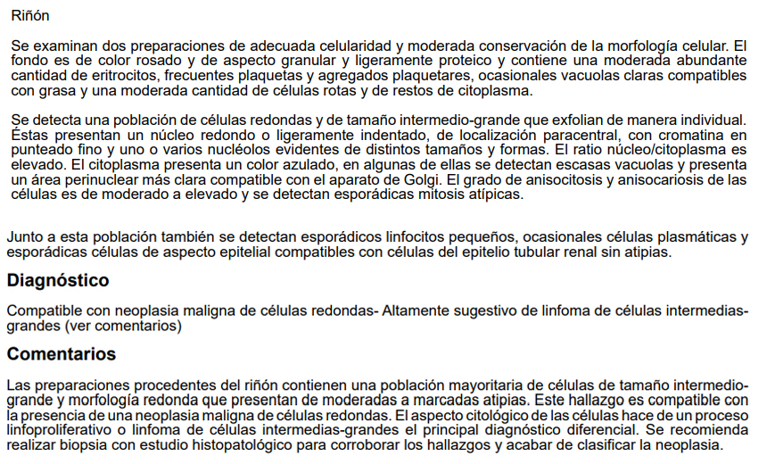 citologia renal