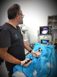 Servicios Aggregata Medicina Felina Integral 4 293109031 1383779888799743 8703024547393076147 n